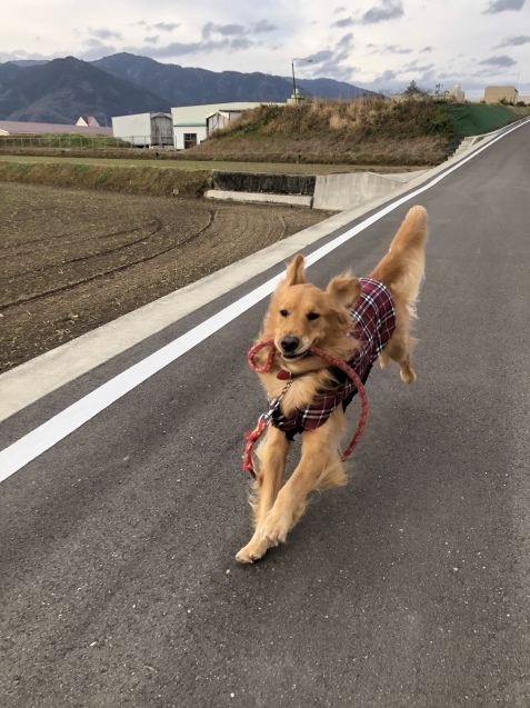 特別ではないことが、特別。_a0394574_21511534.jpeg