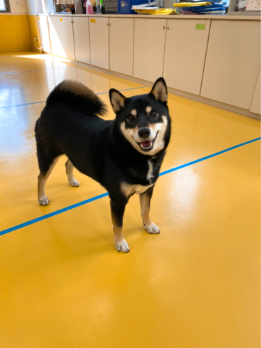 保育園ブログ🙂_f0357682_17354783.jpg
