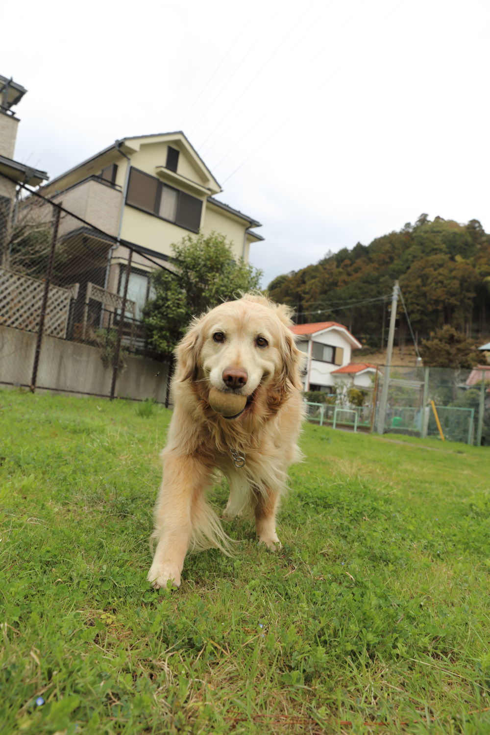 三年経ちました。_b0275998_21364253.jpg