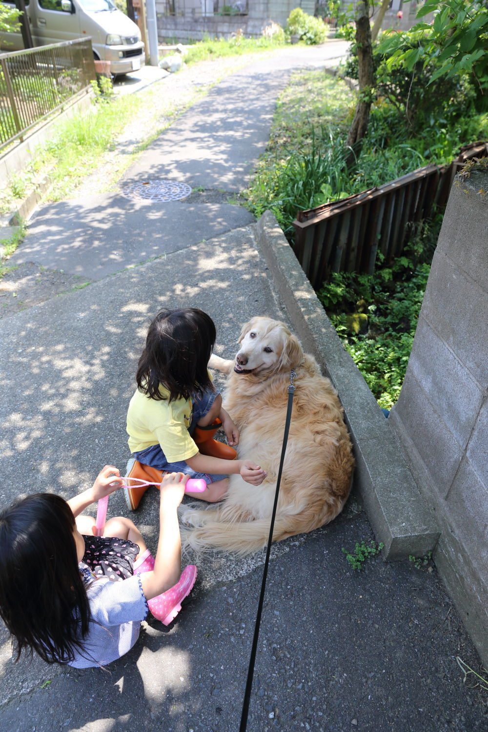 三年経ちました。_b0275998_21501607.jpg