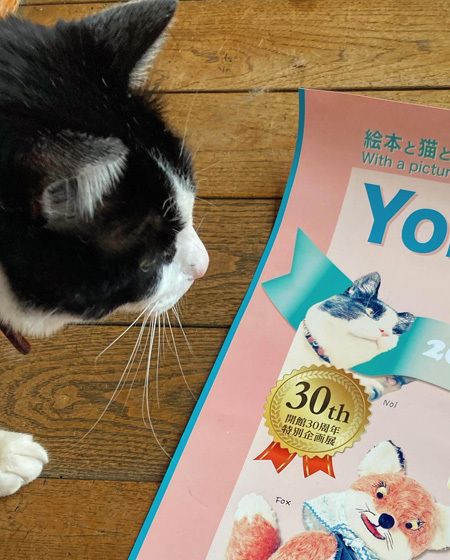 2021 春の展覧会のお知らせ 『Yoko-Bon\'s World ! 絵本と猫と人形たちと』_d0077603_11411648.jpg