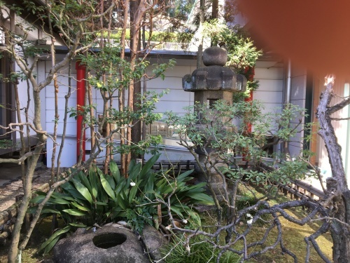 あかね台散歩_b0228416_15104805.jpg