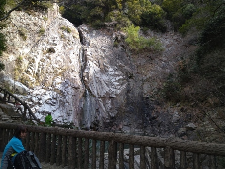 再度公園~洞川梅林~七三峠~諏訪神社_c0218841_11244791.jpg
