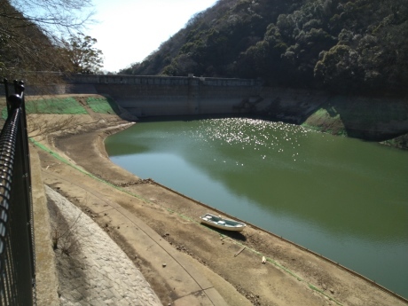再度公園~洞川梅林~七三峠~諏訪神社_c0218841_11274037.jpg