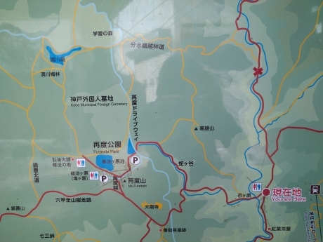 再度公園~洞川梅林~七三峠~諏訪神社_c0218841_11293805.jpg