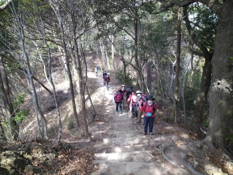 再度公園~洞川梅林~七三峠~諏訪神社_c0218841_11342967.jpg