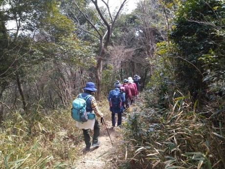 再度公園~洞川梅林~七三峠~諏訪神社_c0218841_11355033.jpg