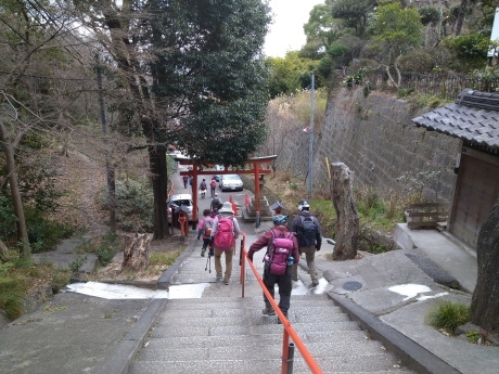 再度公園~洞川梅林~七三峠~諏訪神社_c0218841_11594796.jpg