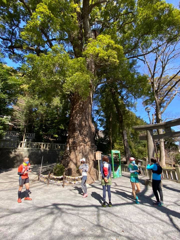 ４年ぶりの湯河原トレイル。_d0056455_17374346.jpg