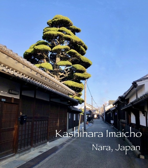 奈良の旅 13 江戸の街並みが美しい橿原市今井町 その2_a0092659_11260011.jpeg
