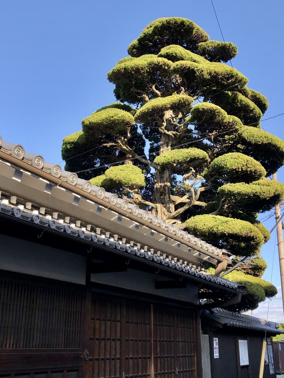 奈良の旅 13 江戸の街並みが美しい橿原市今井町 その2_a0092659_11264770.jpeg