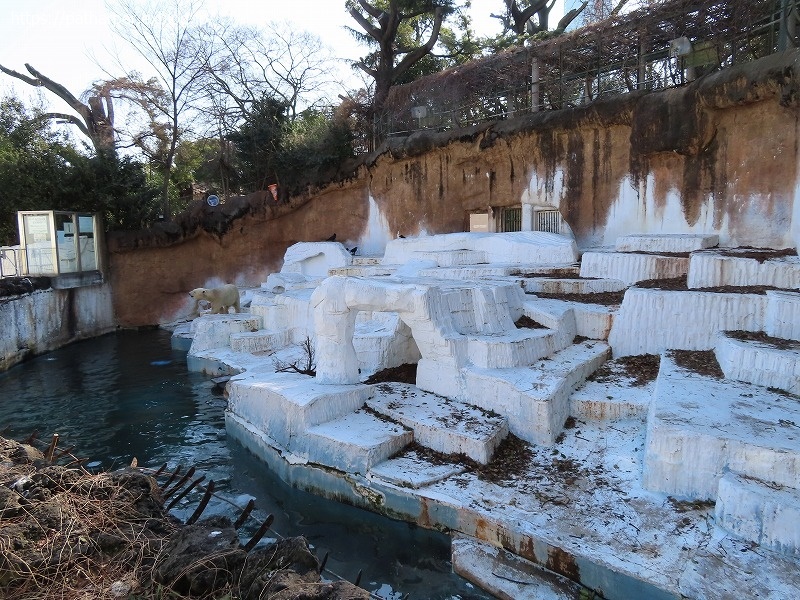 ２０２１年２月　天王寺動物園　その１_a0052986_07435101.jpg