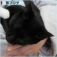 デレデレ兄弟_a0389088_13025628.jpg