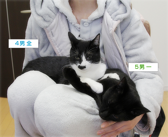 デレデレ兄弟_a0389088_13025645.jpg