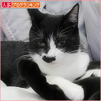 デレデレ兄弟_a0389088_13025650.jpg