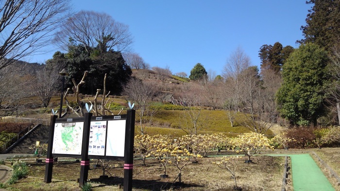 ■宮ヶ瀬ダム散策【友達と愛川公園～宮ヶ瀬ダム迄歩きました。】_b0033423_15231746.jpg
