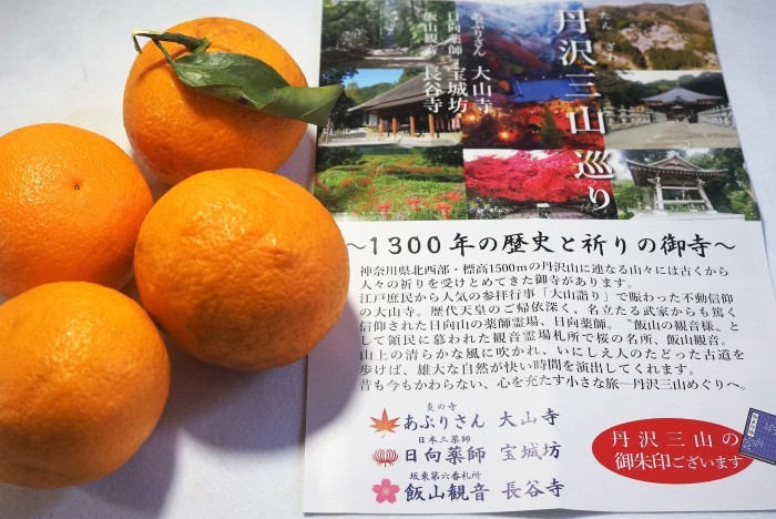 ■周辺散策と御朱印巡り【飯山観音長谷寺】_b0033423_16542290.jpg