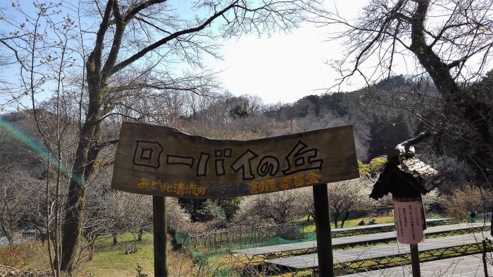 ■周辺散策と御朱印巡り【飯山観音長谷寺】_b0033423_17450612.jpg