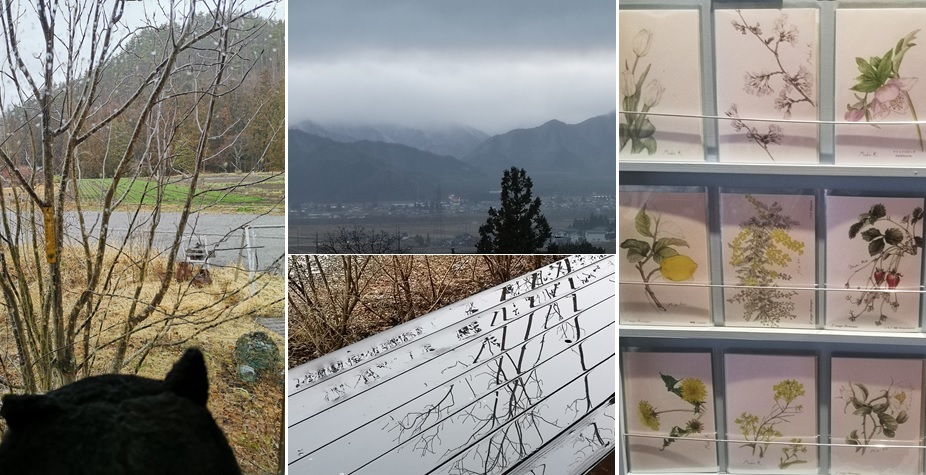 強風が_a0212730_18165864.jpg