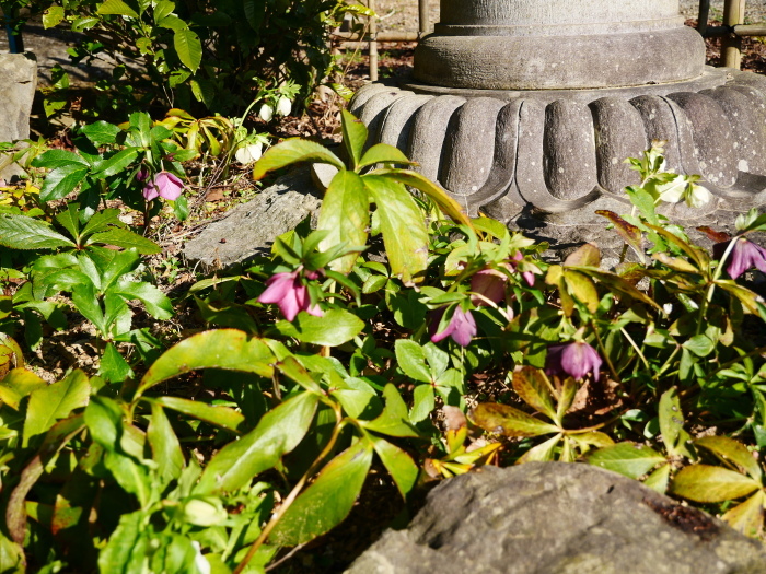   小野田の里　「宇賀部（うかべ）神社」  ２０２１-０３-０３　００：００_b0093754_21455812.jpg