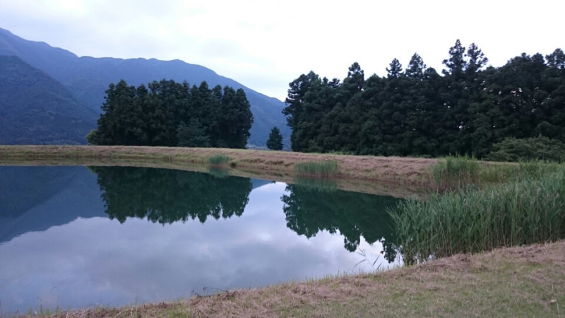2021/3/7 森の活動 千年の森の踏査_f0236659_20464702.jpg