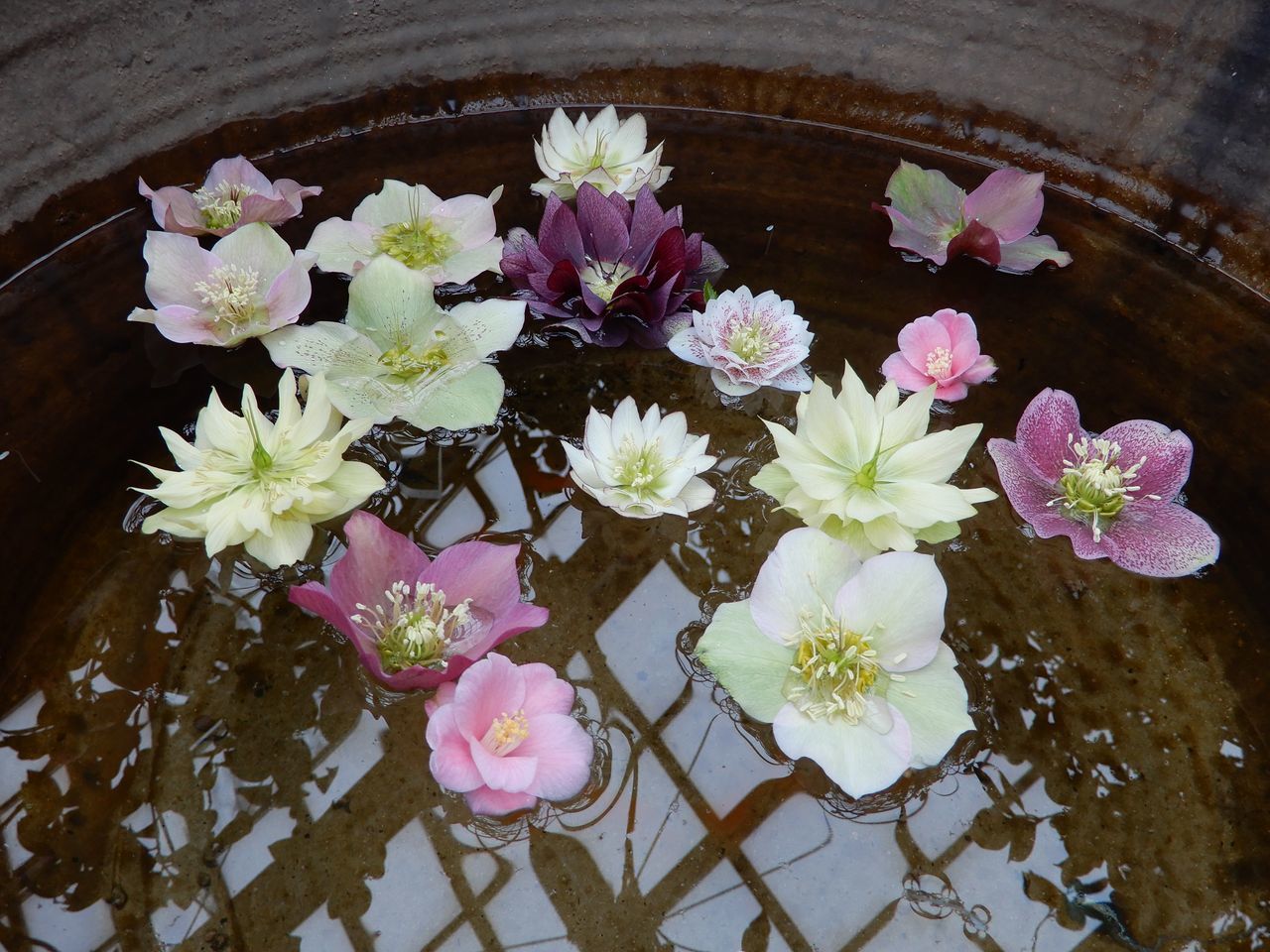 百合が原公園へ_c0025115_22110186.jpg