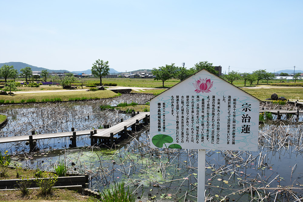 備中高松城跡と古戦場を歩く。 その1 <高松城址公園・三ノ丸~二ノ丸>_e0158128_19093898.jpg