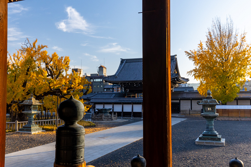 2020紅葉きらめく京都　水噴き銀杏（西本願寺）_f0155048_23411547.jpg