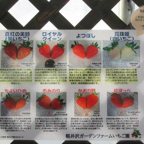 軽井沢ガーデンファーム お初の白いちご 真珠姫 に感激 ぴきょログ 軽井沢でぐーたら生活