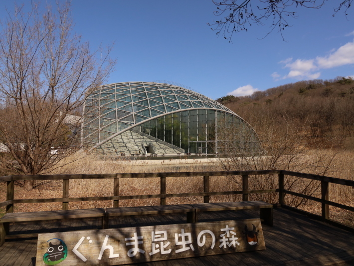 ぐんま昆虫の森にて 4 昆虫観察館 21 2 27撮影 Toshiさんのお気楽ブログ ぐんま昆虫の森にて 4 昆虫観察館 21 2 27撮影 Toshiさんのお気楽ブログ