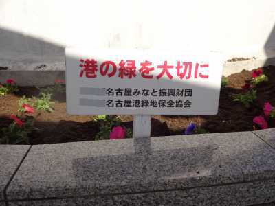 名古屋港水族館前花壇の植栽R3.3.3_d0338682_14221155.jpg