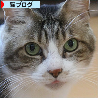 ひな祭り、お刺身祭り_a0389088_19360392.jpg