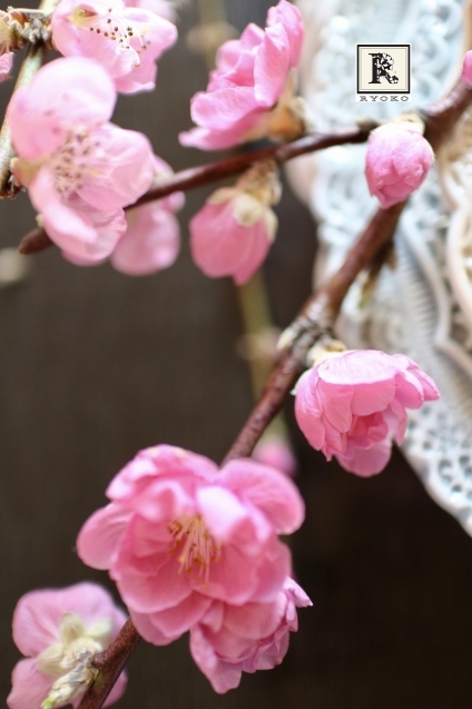 お家にお花を飾る」3月　ー春色ピンクの花たちー_c0128489_12330971.jpeg