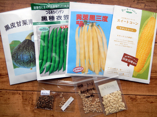 雪解け、新しい種_d0366590_06045521.jpg