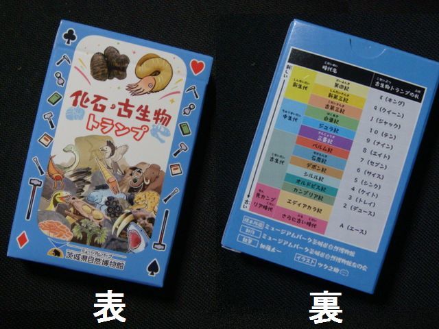 美品！掛け軸 複製 一休宗純筆［梅画賛］工芸 小学館製 解説付 【公式