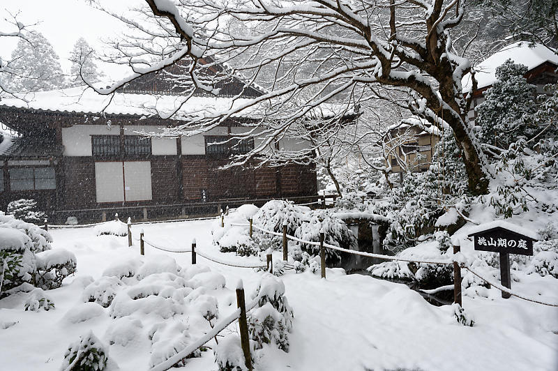 雪景色@滋賀県湖東　金剛輪寺・其の一_f0032011_19182112.jpg