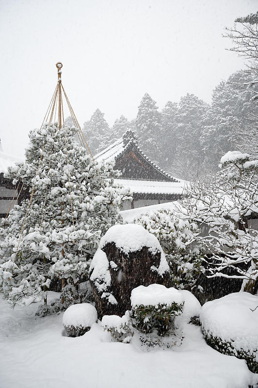 雪景色@滋賀県湖東　金剛輪寺・其の一_f0032011_19182168.jpg