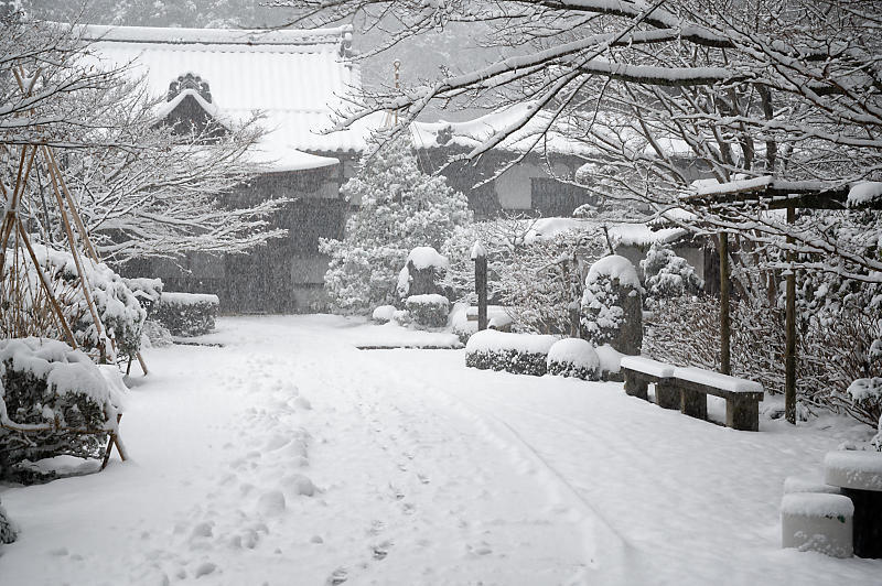 雪景色@滋賀県湖東　金剛輪寺・其の一_f0032011_19192416.jpg