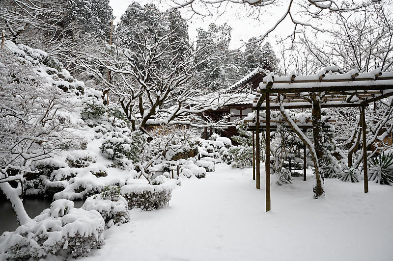 雪景色@滋賀県湖東　金剛輪寺・其の一_f0032011_19213546.jpg