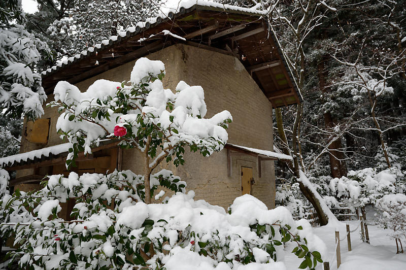 雪景色@滋賀県湖東　金剛輪寺・其の一_f0032011_19213558.jpg