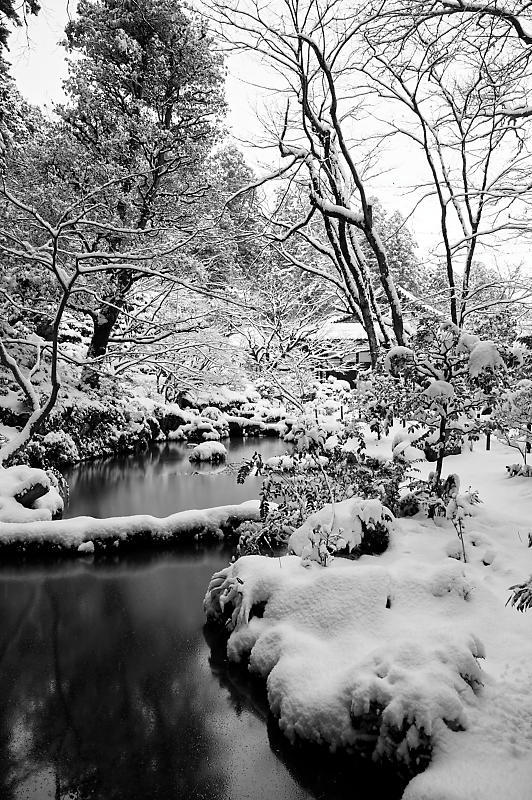 雪景色@滋賀県湖東　金剛輪寺・其の一_f0032011_19213559.jpg