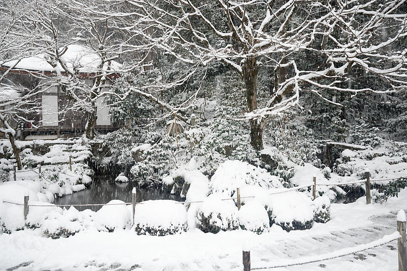 雪景色@滋賀県湖東　金剛輪寺・其の一_f0032011_19213606.jpg