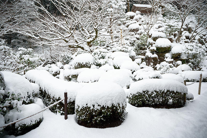 雪景色@滋賀県湖東　金剛輪寺・其の一_f0032011_19213615.jpg