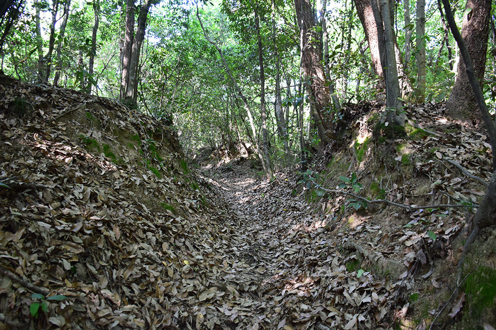 備中高松城跡と古戦場を歩く。 その6 <石井山秀吉本陣跡>_e0158128_14084919.jpg
