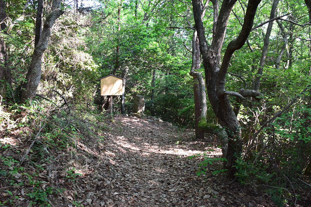 備中高松城跡と古戦場を歩く。 その6 <石井山秀吉本陣跡>_e0158128_14120035.jpg