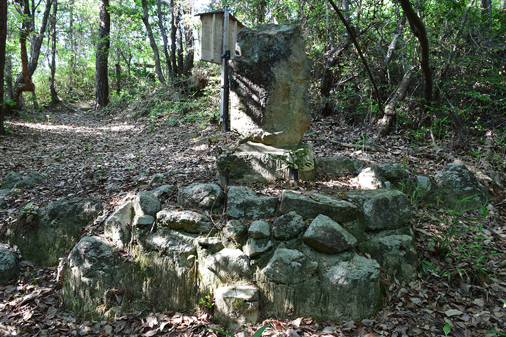 備中高松城跡と古戦場を歩く。　その６　＜石井山秀吉本陣跡＞_e0158128_14171658.jpg
