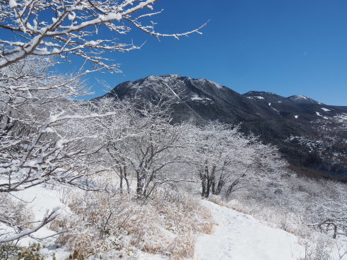 八子ヶ峰　霧氷のんびりハイク　　2021.３.３（水）_b0335256_20253285.jpg