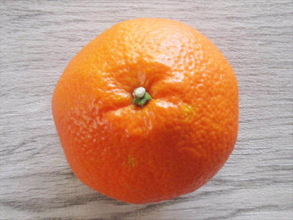 伊予柑(いよかん)_c0152767_22554527.jpg