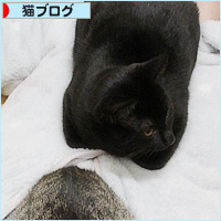 しあわせの重み_a0389088_19080641.jpg
