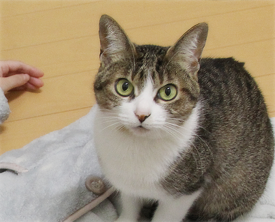 しあわせの重み_a0389088_19080643.jpg